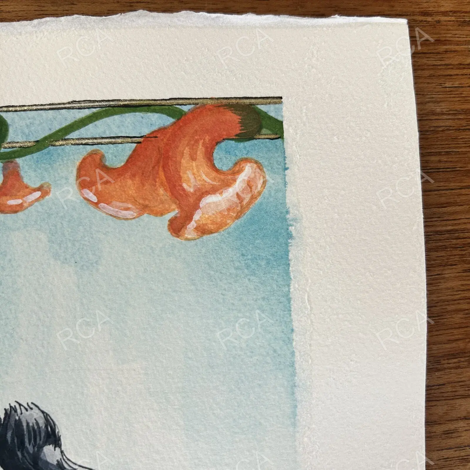 Scratch detail 2