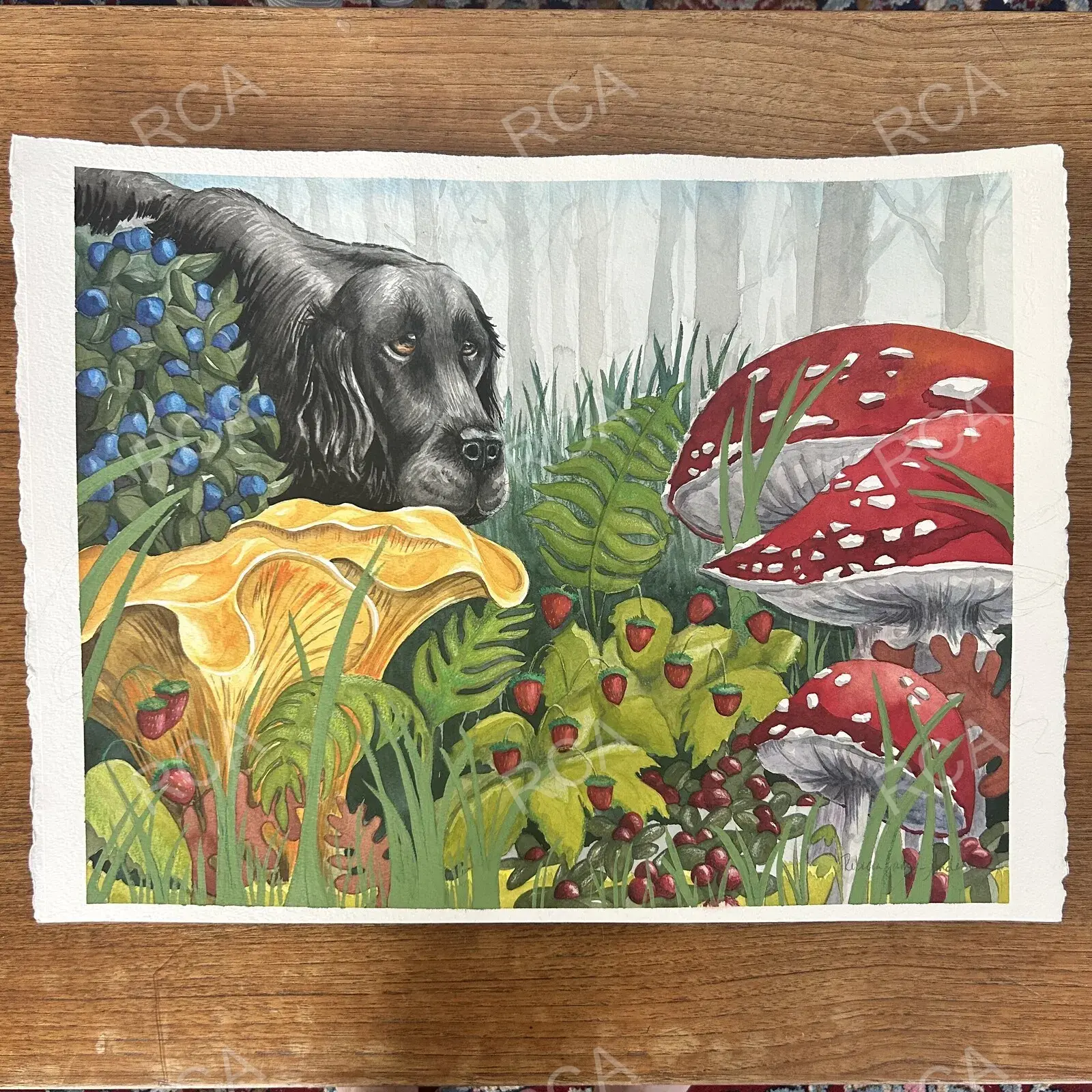 A Walk in the Woods detail 2