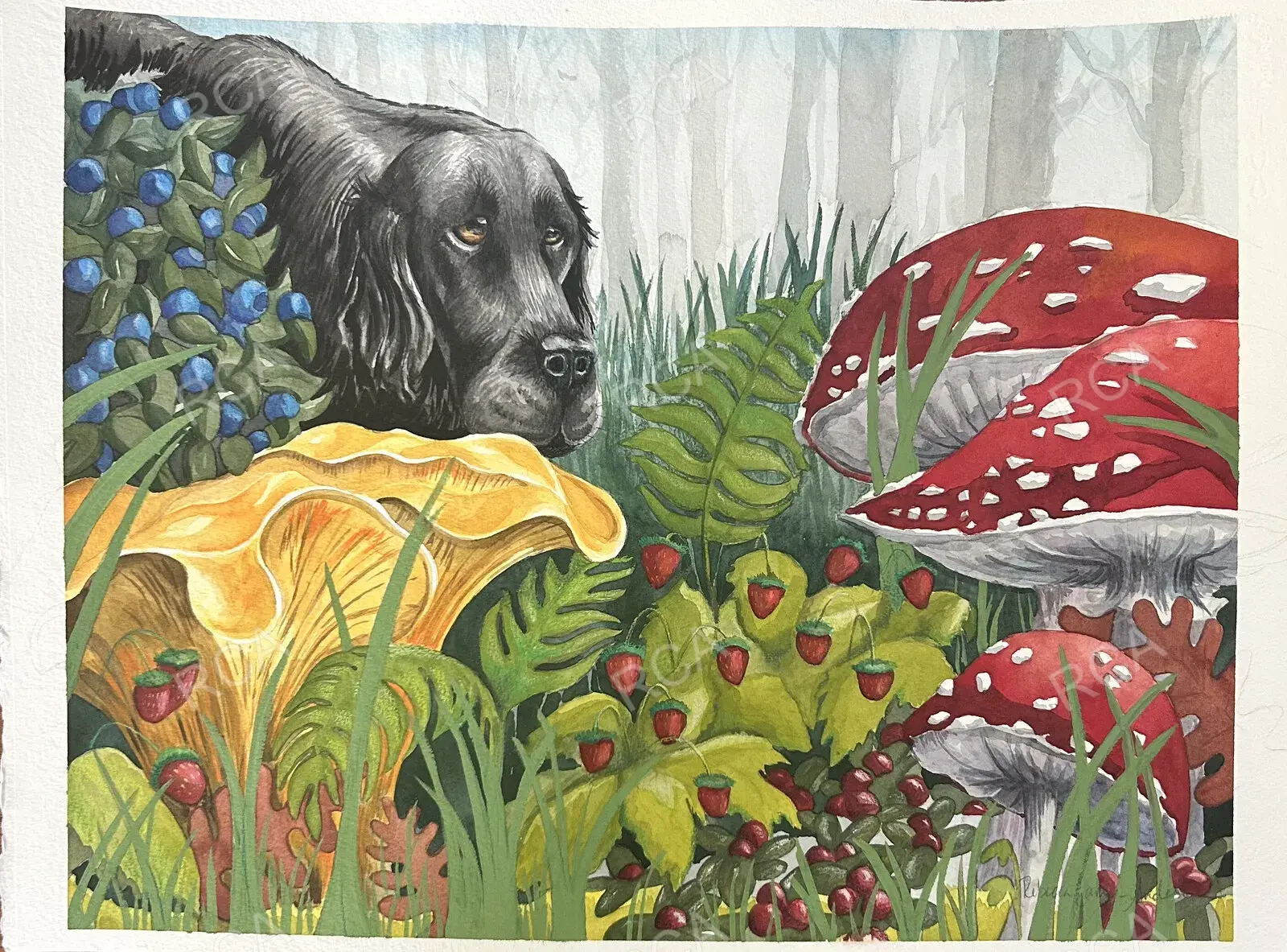 A Walk in the Woods
