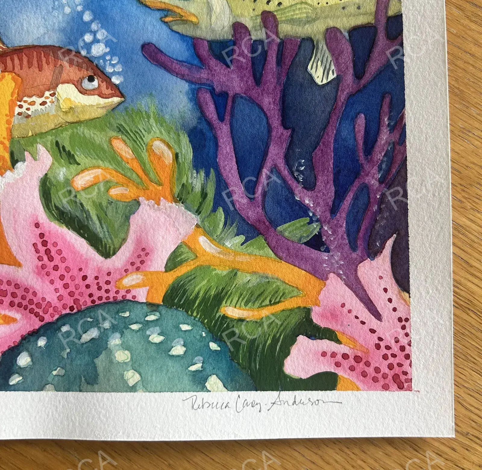 Swimming with Fishes detail 2