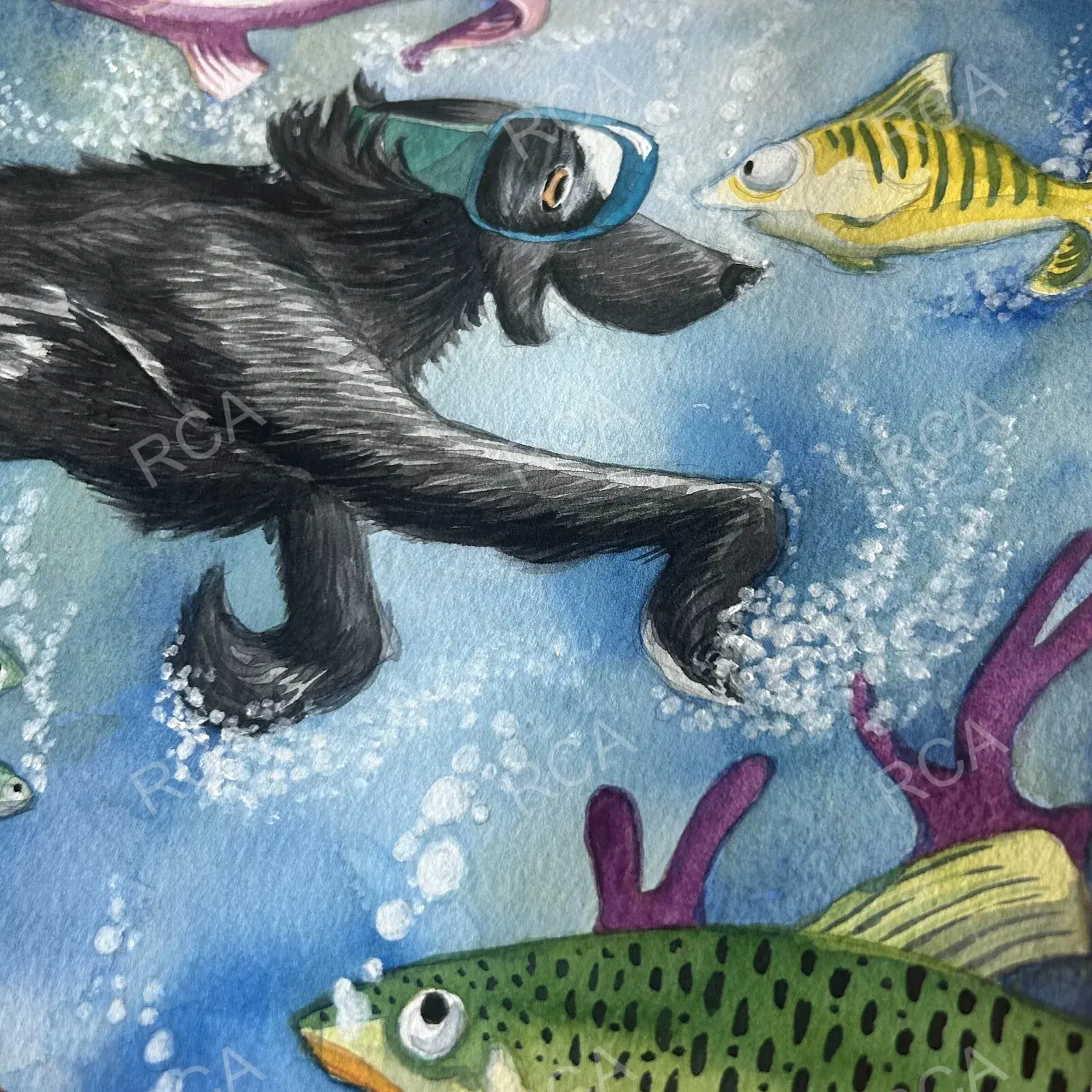 Swimming with Fishes detail 3