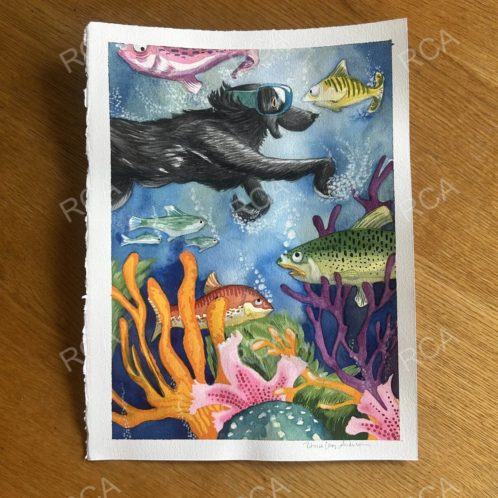 Swimming with Fishes detail 6