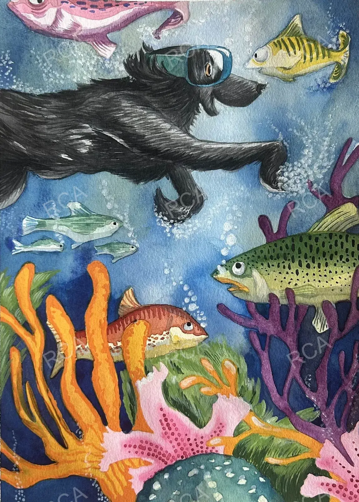 Swimming with Fishes